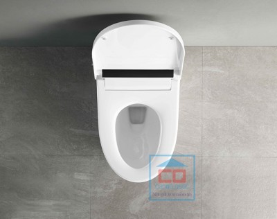 Bồn cầu chăm sóc Basic Water Jet Glory