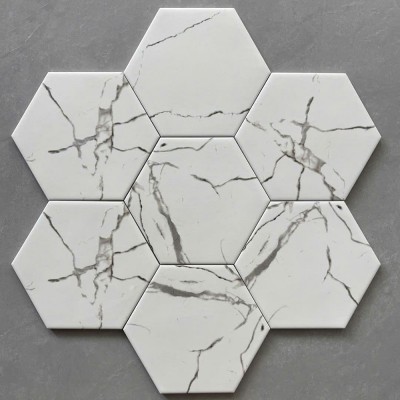 Gạch bông lục giác 20x23cm GOL2001