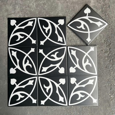 Gạch bông men 20x20cm DS2906