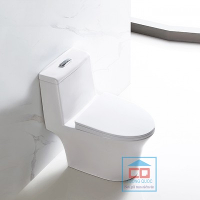 Bồn cầu chăm sóc Basic Water Jet BS-106-860