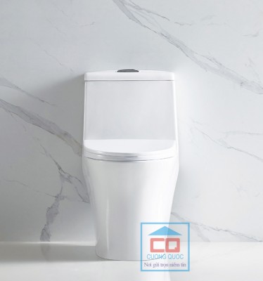 Bồn cầu chăm sóc Basic Water Jet BS-106-860