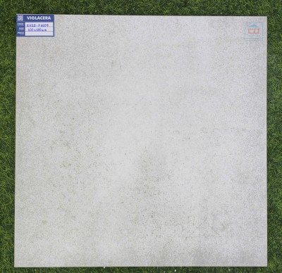Gạch lát nền Viglacera EX20-F6604
