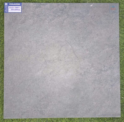 Gạch lát nền Viglacera EX20-S6601