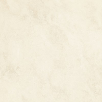 Gạch lát nền Viglacera EX20-S6602