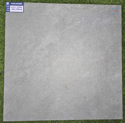 Gạch lát nền 60x60 Viglacera EX20-S6603