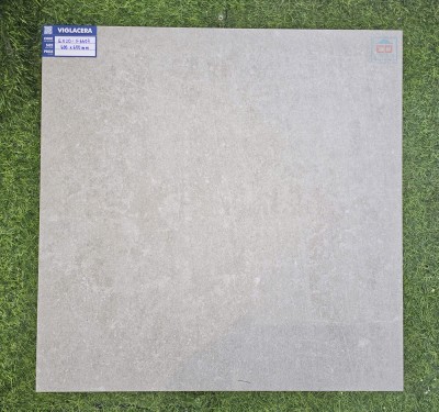 Gạch lát nền 60x60 Viglacera EX20-F6607
