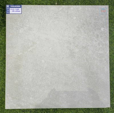 Gạch lát nền 60x60 Viglacera EX20-F6608