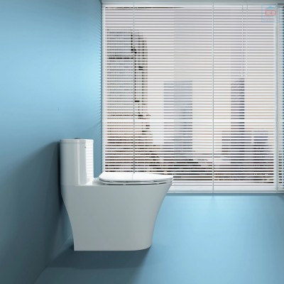 Bồn cầu một khối Viglacera V829