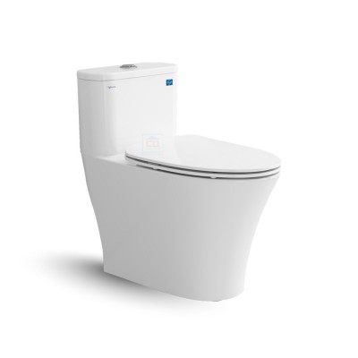 Bồn cầu một khối Viglacera V829