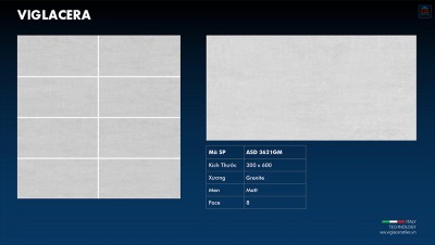 Gạch ốp tường Viglacera ASD 3621GM