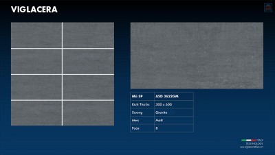 Gạch ốp tường Viglacera ASD 3622GM