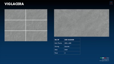 Gạch ốp tường Viglacera ASD 3626GM