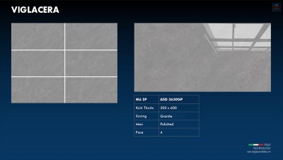 Gạch ốp tường Viglacera ASD 3630GP