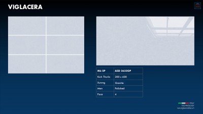 Gạch ốp tường Viglacera ASD 3633GP