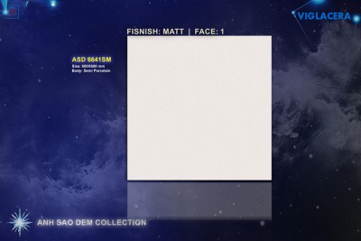 Gạch lát nền Viglacera ASD 6641SM