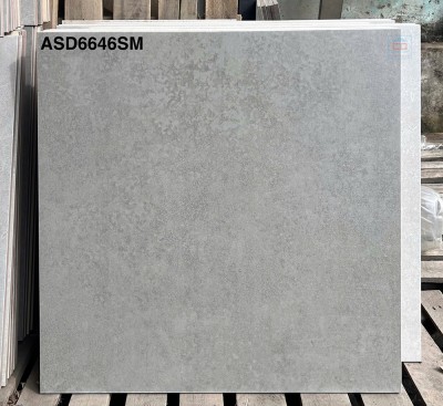 Gạch lát nền Viglacera ASD 6646SM