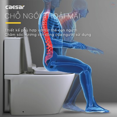 Bồn cầu 2 khối nắp êm Caesar CD1342