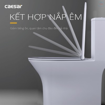 Bồn cầu một khối Caesar C1391