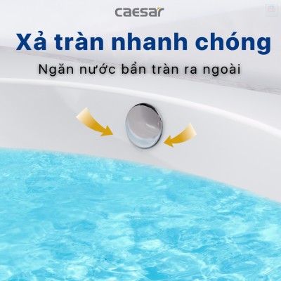 Chậu lavabo dương bàn Caesar L5022
