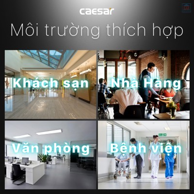 Hộp xà phòng đơn Caesar Q811