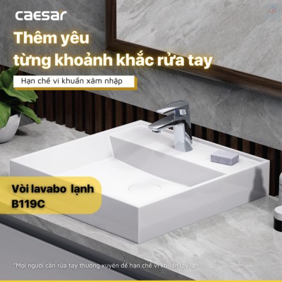 Vòi lavabo lạnh Caesar B119C