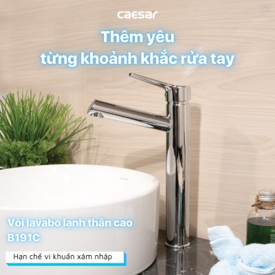 Vòi lavabo lạnh cao Caesar B191C