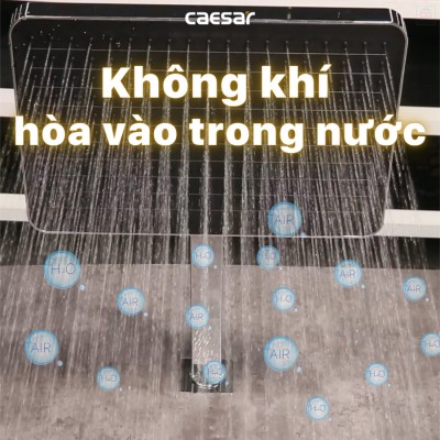 Sen tắm âm tường Caesar BS659