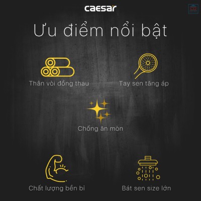 Sen tắm âm tường Caesar BS659