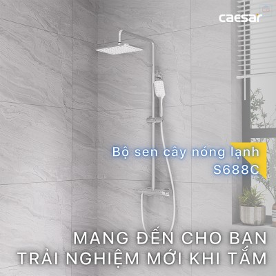 Sen cây nóng lạnh Caesar S688C