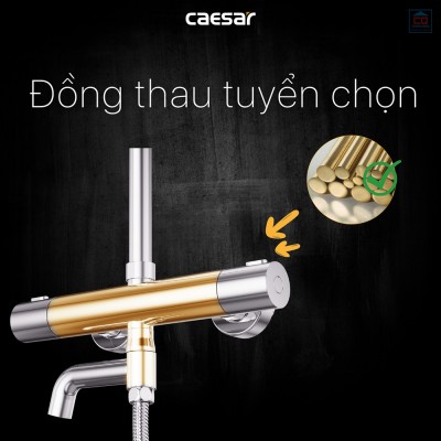 Sen tắm cây nhiệt độ Caesar S1038S