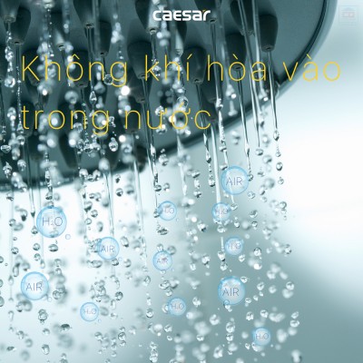 Sen tắm cây nhiệt độ Caesar S1038S