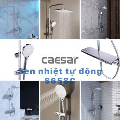 Sen tắm cây nhiệt độ Caesar S658C