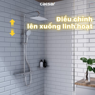 Sen tắm cây nhiệt độ Caesar S658C