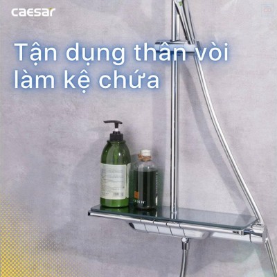 Sen tắm cây nhiệt độ Caesar S658C