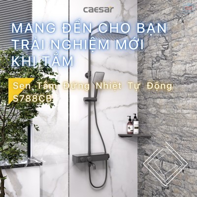 Sen tắm cây nhiệt độ Caesar S788CB
