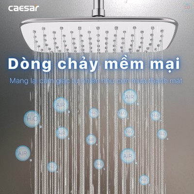 Thân sen cây Caesar BS127