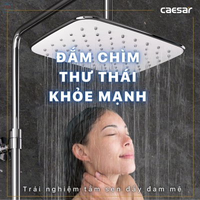 Thân sen cây Caesar BS127