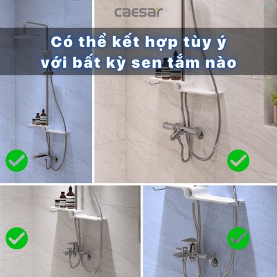 Thân sen cây Caesar BS127