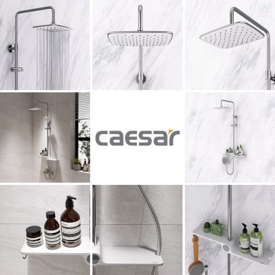 Thân sen cây Caesar BS127