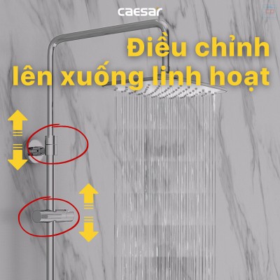 Thân sen cây Caesar BS127