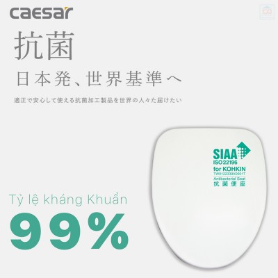 Nắp bồn cầu đóng êm Caesar M260