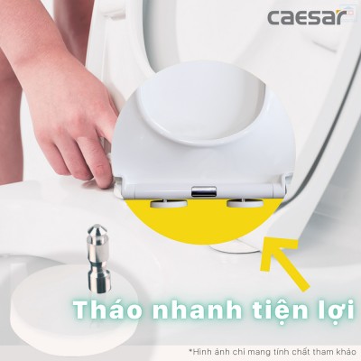 Nắp bồn cầu đóng êm Caesar M260