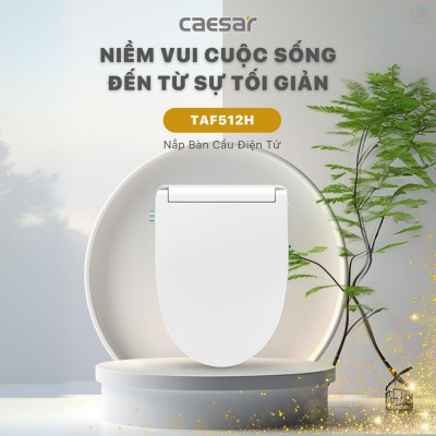 Nắp bồn cầu điện tử Caesar TAF512H