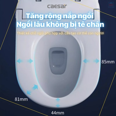 Nắp bồn cầu điện tử Caesar TAF710H