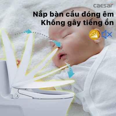 Nắp bồn cầu điện tử Caesar TAF710H