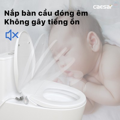 Nắp bồn cầu cơ Caesar TAF060