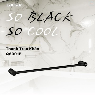 Thanh vắt khăn đơn Caesar Q6301B