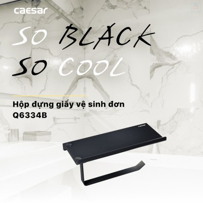 Lô giấy vệ sinh Caesar Q6334B