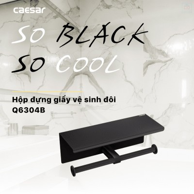 Lô giấy vệ sinh Caesar Q6304B