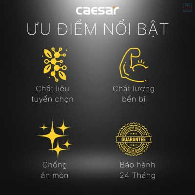 Van không chế inox Caesar BF403S